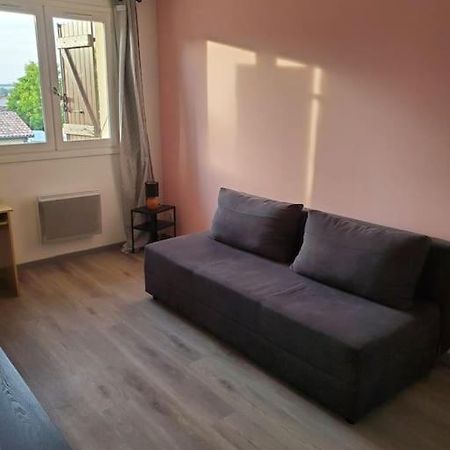 Appartement Moderne Et Equipe LʼIsle-Jourdain Buitenkant foto