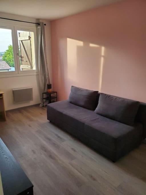 Appartement Moderne Et Equipe LʼIsle-Jourdain Buitenkant foto